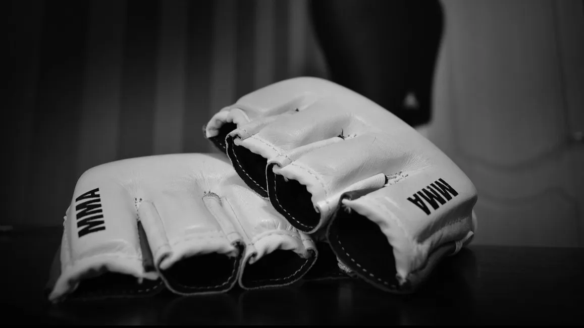 Перчатки MMA Перчатки MMA фото на sportnews.kz от 01 июня 2025 10:45