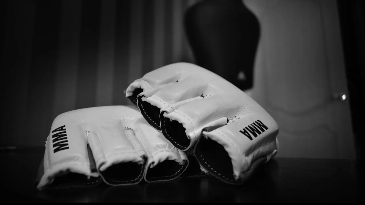 Перчатки MMA фото на sportnews.kz от 12 июня 2025 13:24