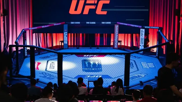 Октагон UFC