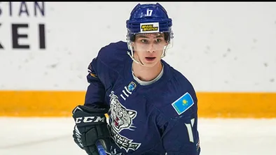 Хоккей