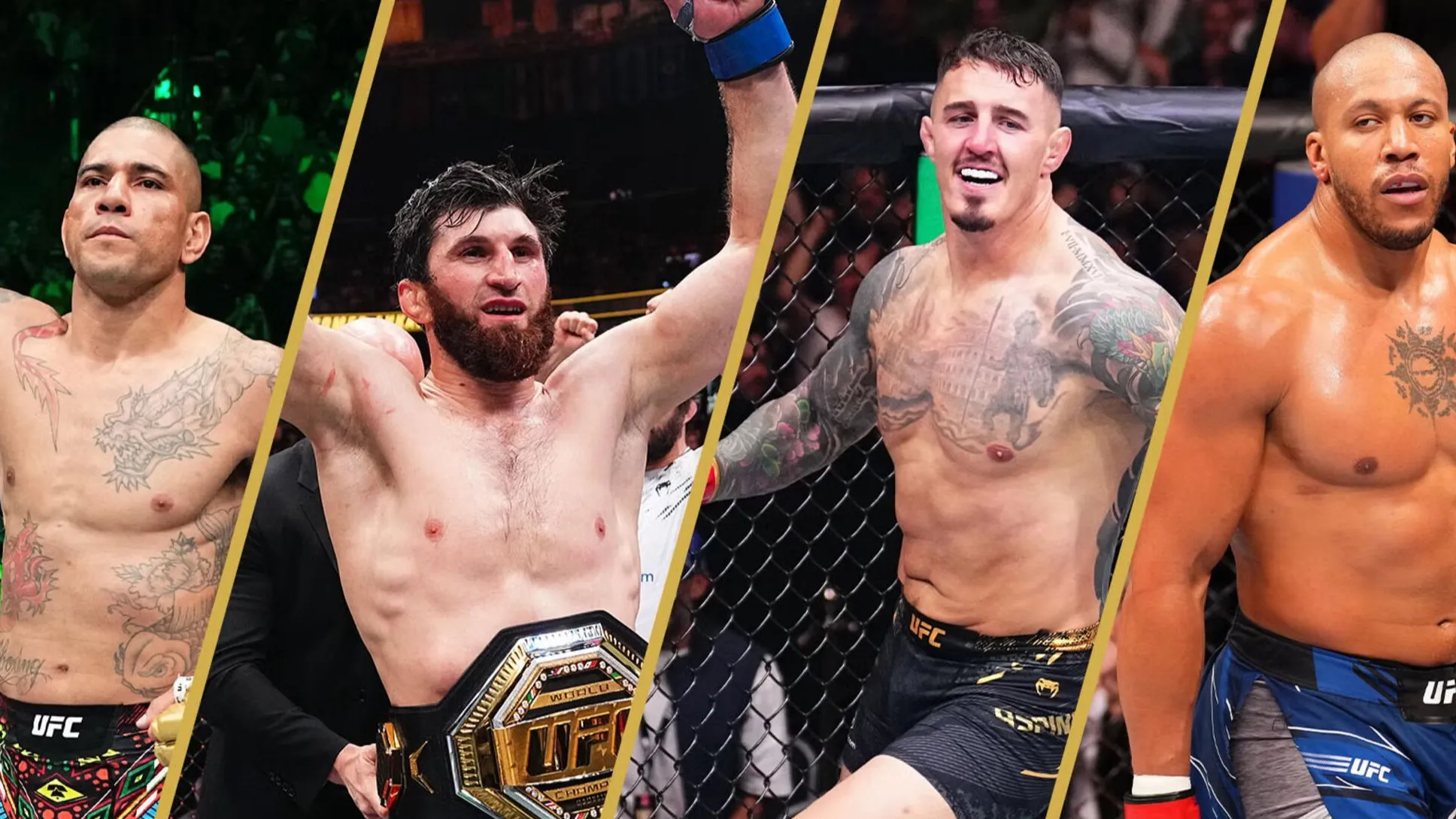 Анкалаев снова встретится с Перейрой: официальный анонс ключевых боев UFC 320 и 321 Анкалаев снова встретится с Перейрой: официальный анонс ключевых боев UFC 320 и 321 фото на sportnews.kz от 23 июля 2025 12:57