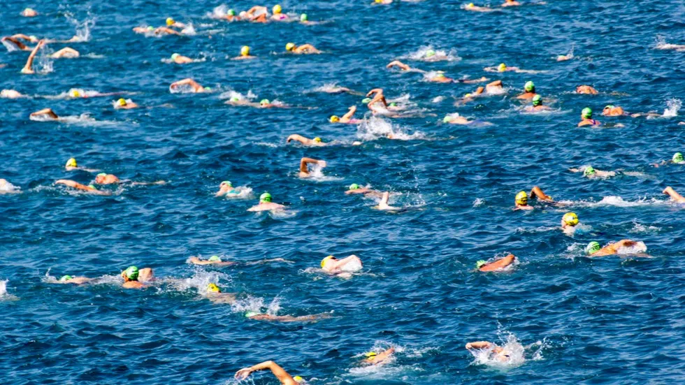 Заплыв Заплыв фото на sportnews.kz от 25 августа 2025 13:32
