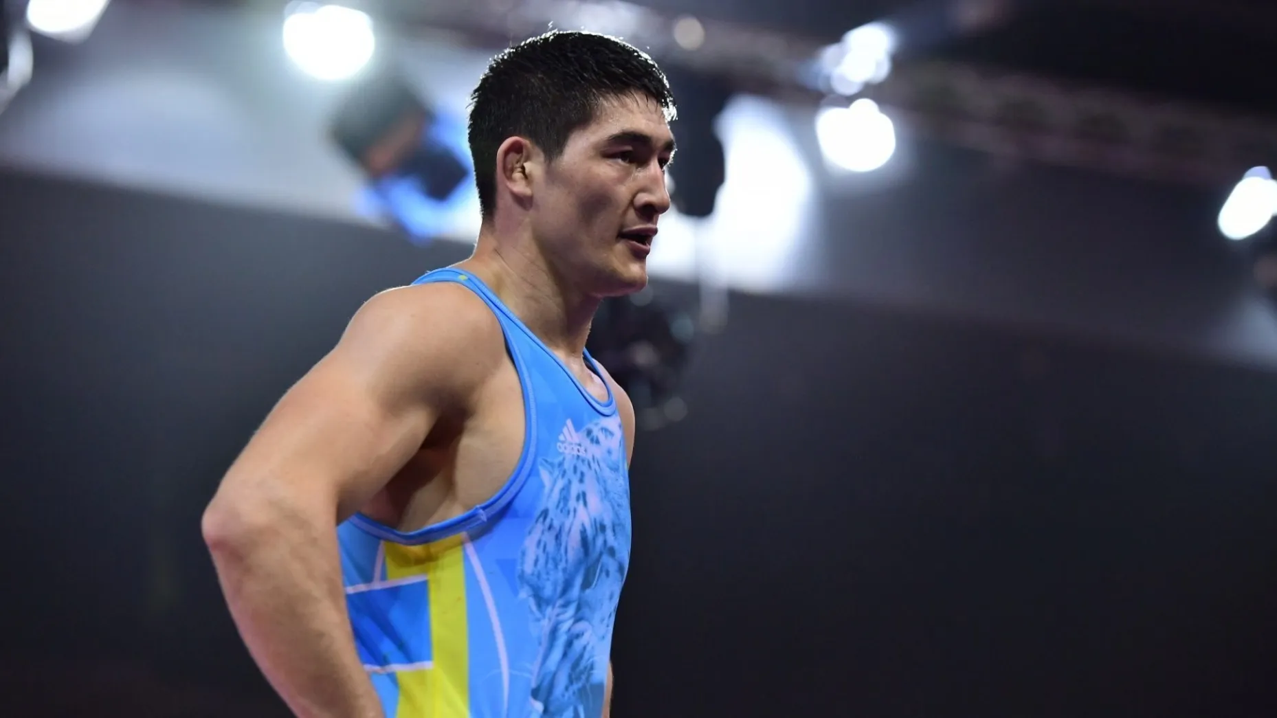 Названы чемпионы Казахстана по греко-римской борьбе: какой регион забрал больше всех наград фото на sportnews.kz от 04 декабря 2025 15:32