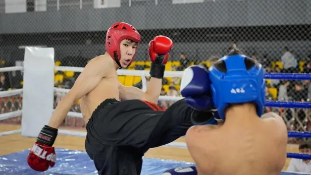 Республиканский турнир по кикбоксингу