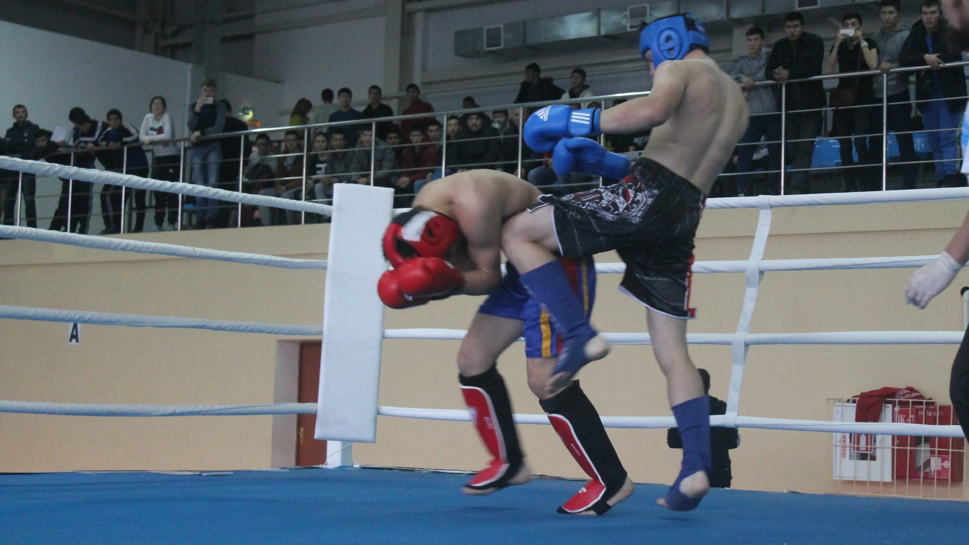 Чемпионата Казахстана по кикбоксингу фото на sportnews.kz от 12 декабря 2025 13:21