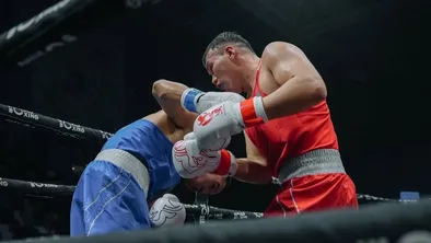 Кубок Федерации бокса