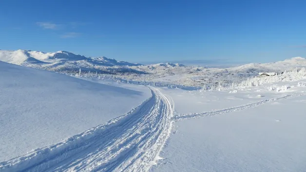 Олимпиада под угрозой: у Италии возникли проблемы с подготовкой лыжных объектов