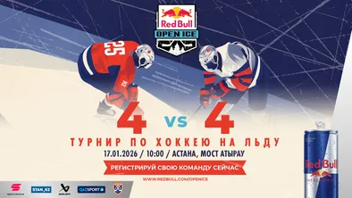  турнир Red Bull Open Ice