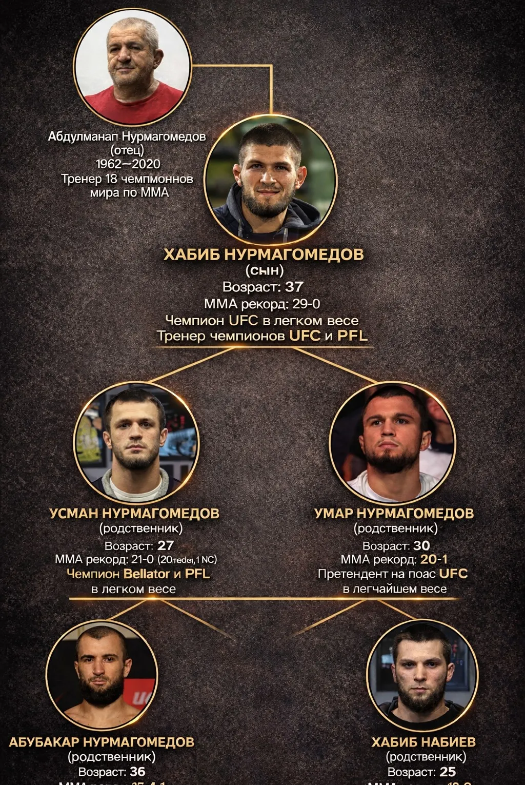 Абдулманап и Хабиб Нурмагомедовы и родственники — структура семьи и титулы в ММА фото на sportnews.kz от 04 февраля 2026 11:24