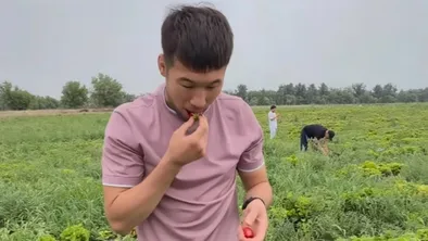 Как проводит время Шавкат Рахмонов: клубника вместо октагона