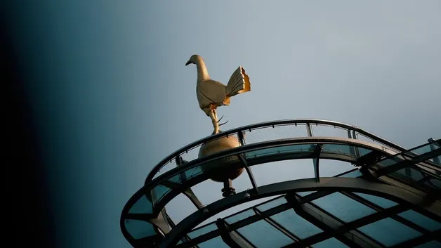 «Тоттенхэм» рискует потерять $350 млн: команда на грани вылета из АПЛ