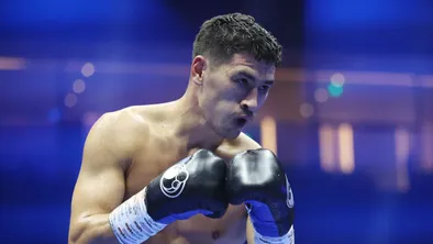 Титулы обязывают: как решения WBO ограничивают выбор Бивола