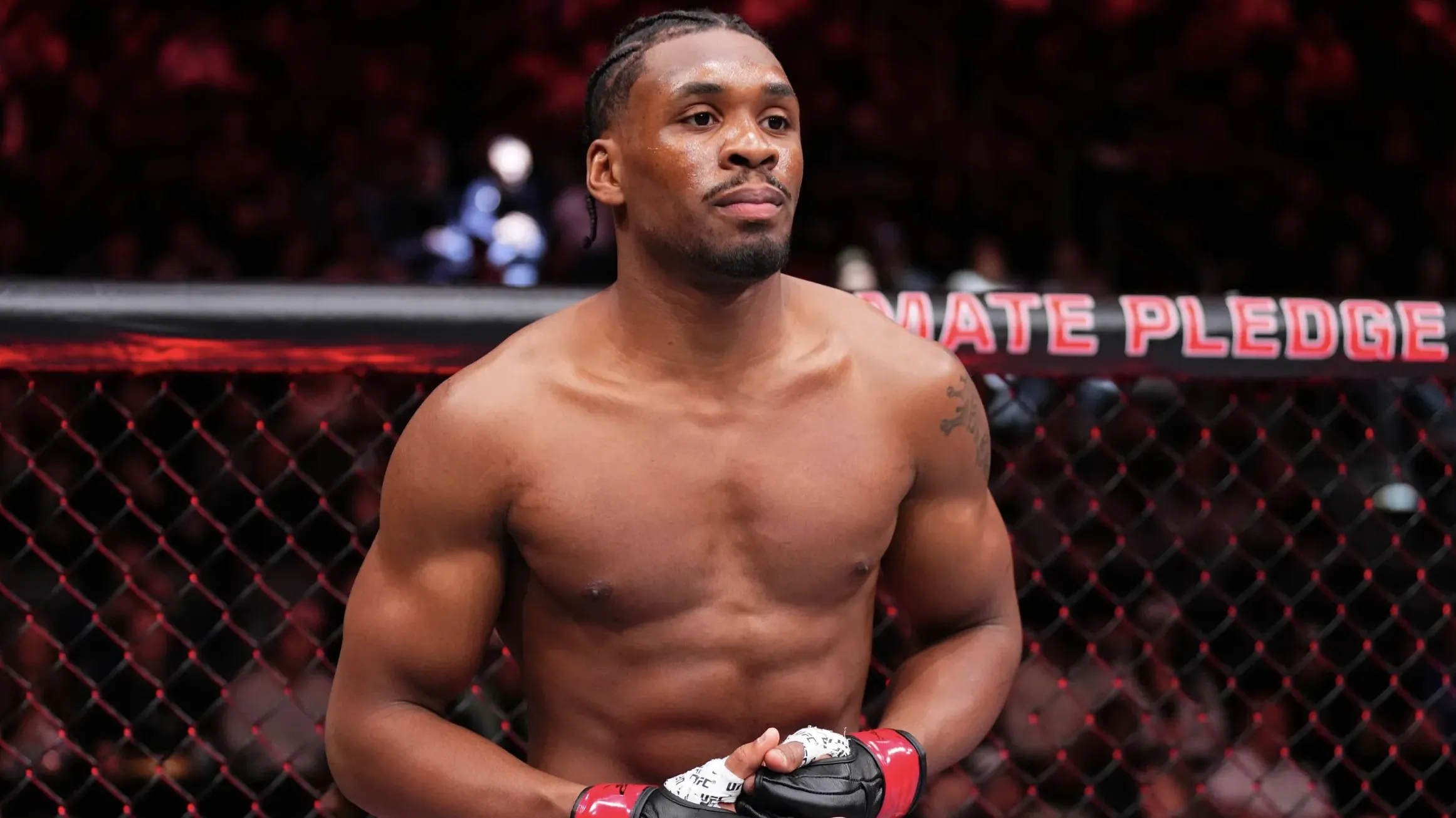 Кард UFC 330 пополнился четырьмя боями перед защитой титула Махачева фото на sportnews.kz от 29 июня 2026 12:42