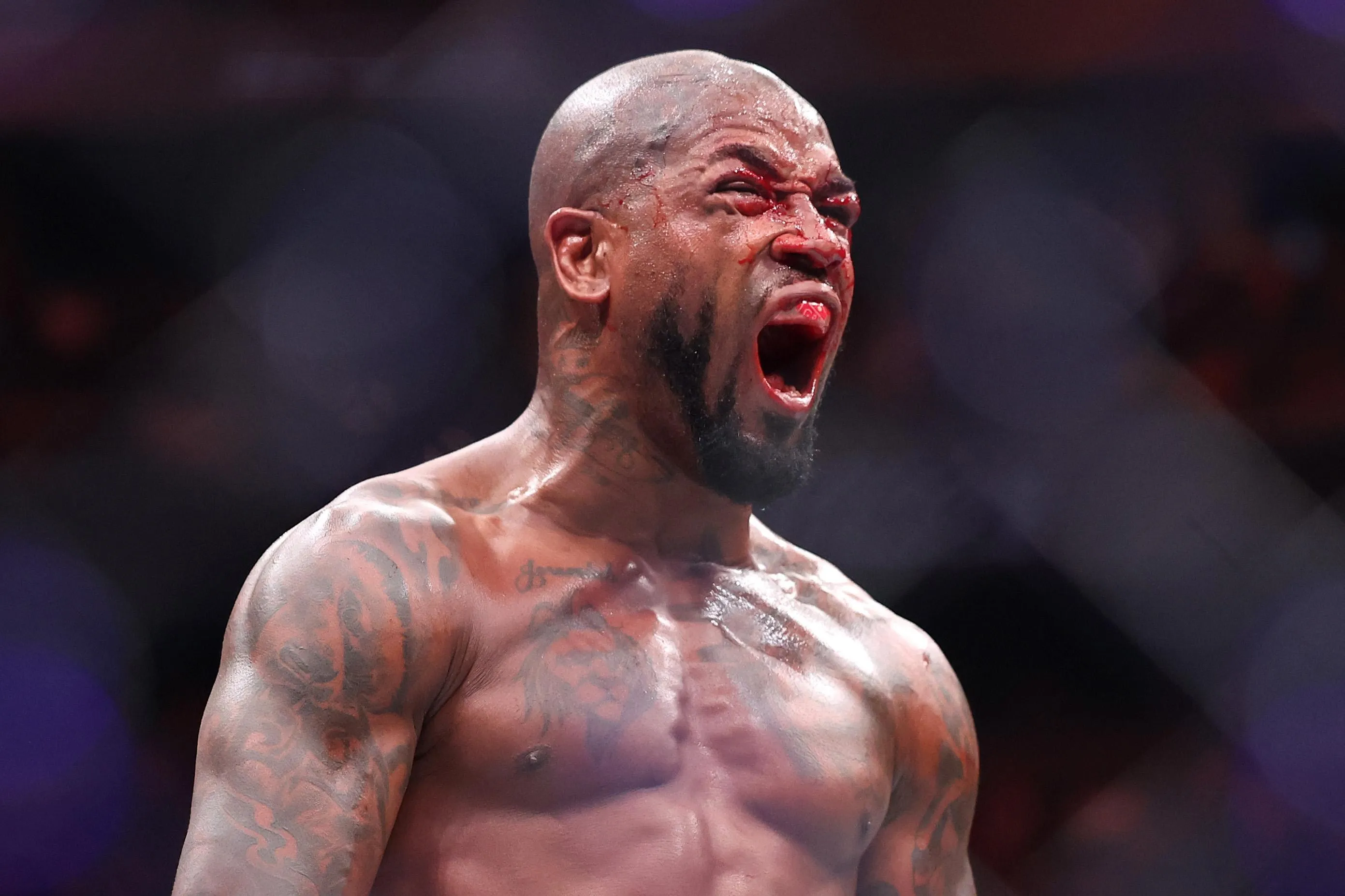 Боец UFC Кинг Грин удушил чемпиона мира по боксу за четыре секунды фото на sportnews.kz от 11 августа 2026 09:11