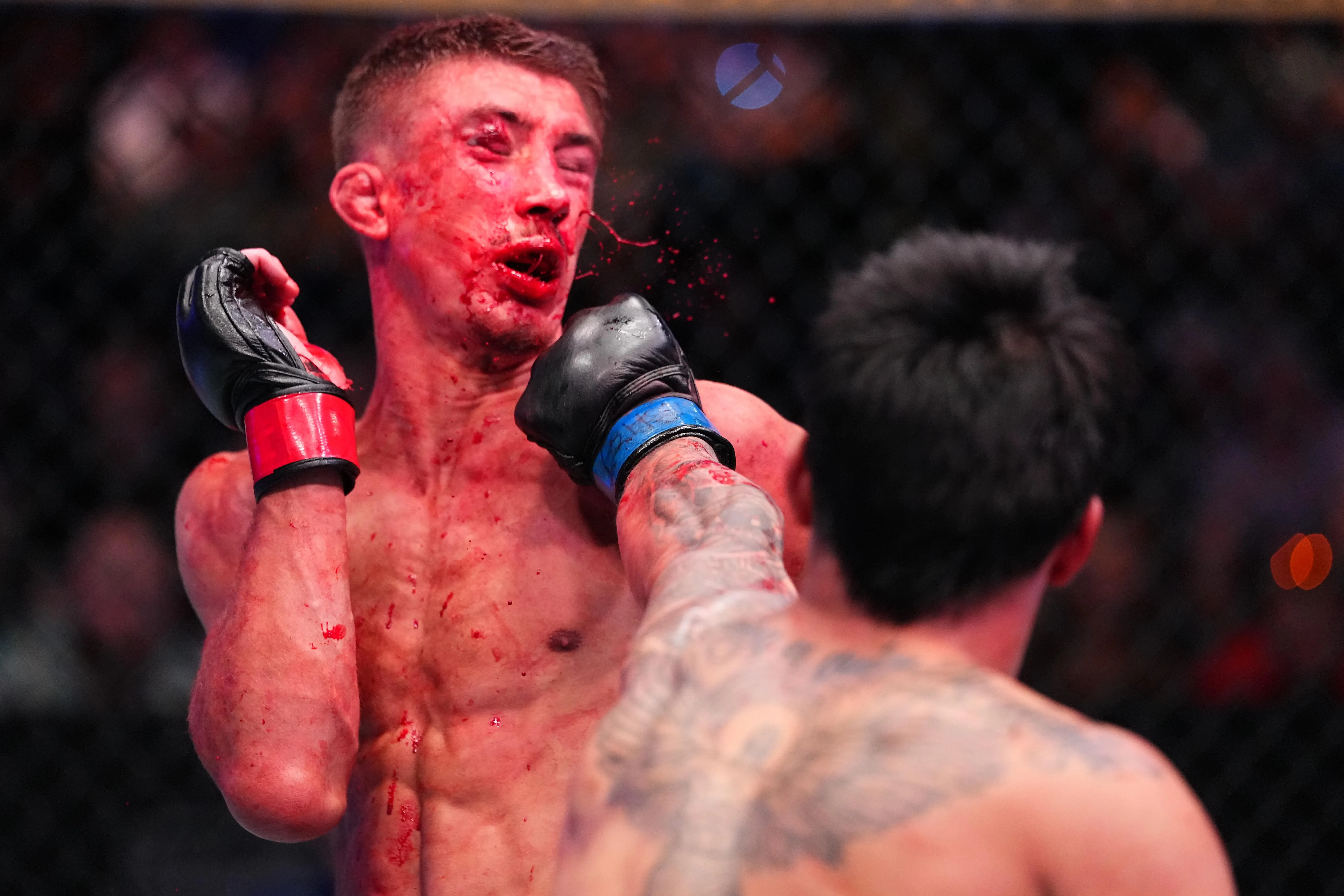 394 удара за 15 минут: рекорд DWCS принёс бойцам контракты UFC
