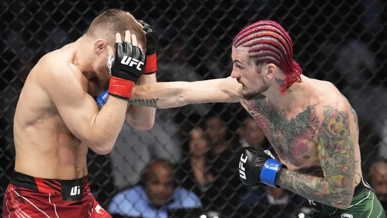 О'Мэлли на поединке UFC 280
